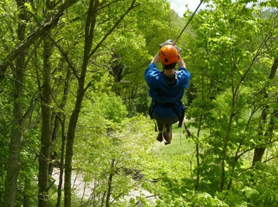 Person ziplining through forest.