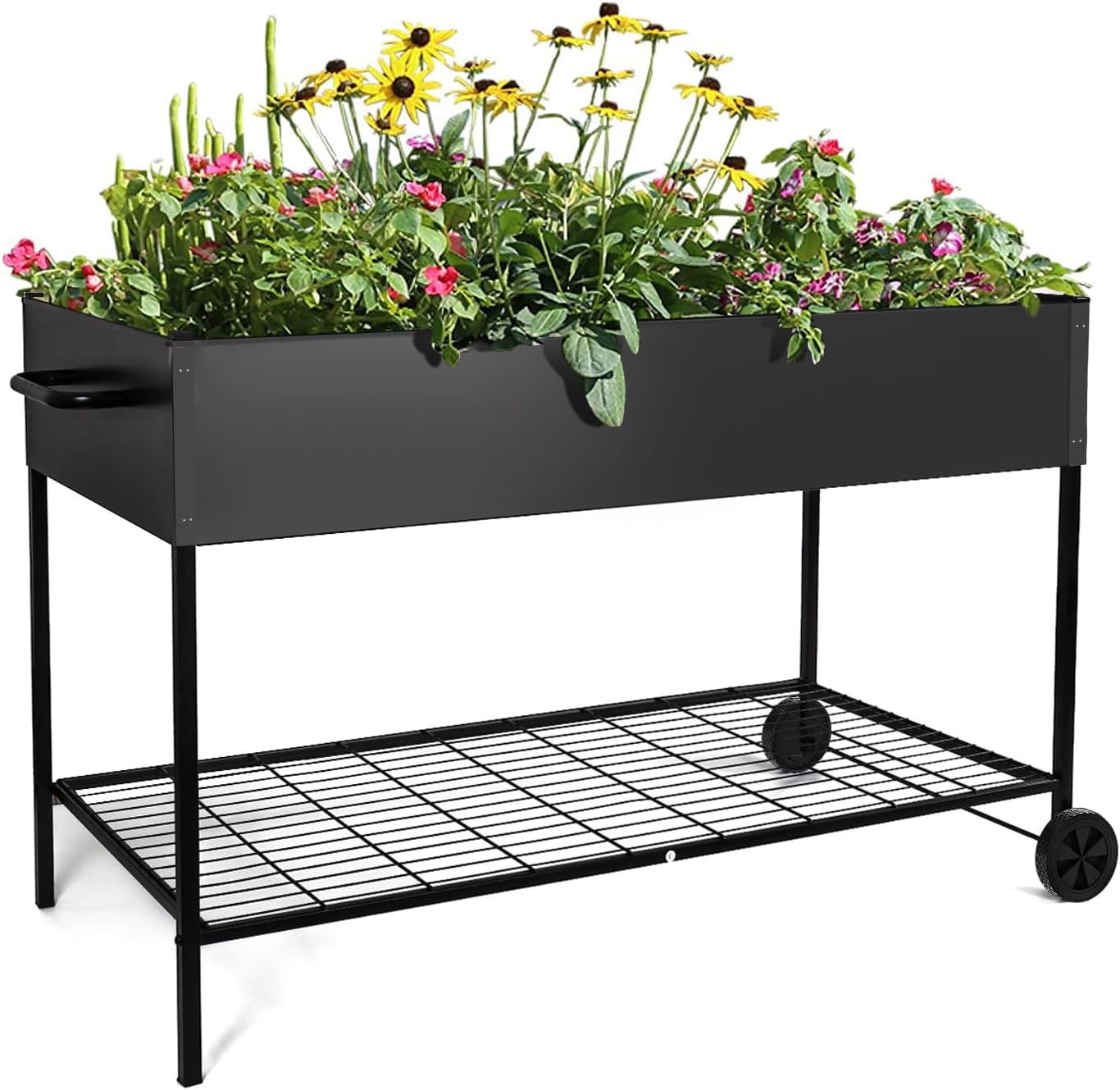 Raised Garden Bed