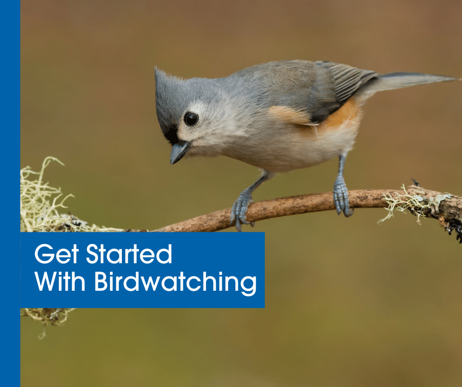 Get Started with Birdwatching blog header