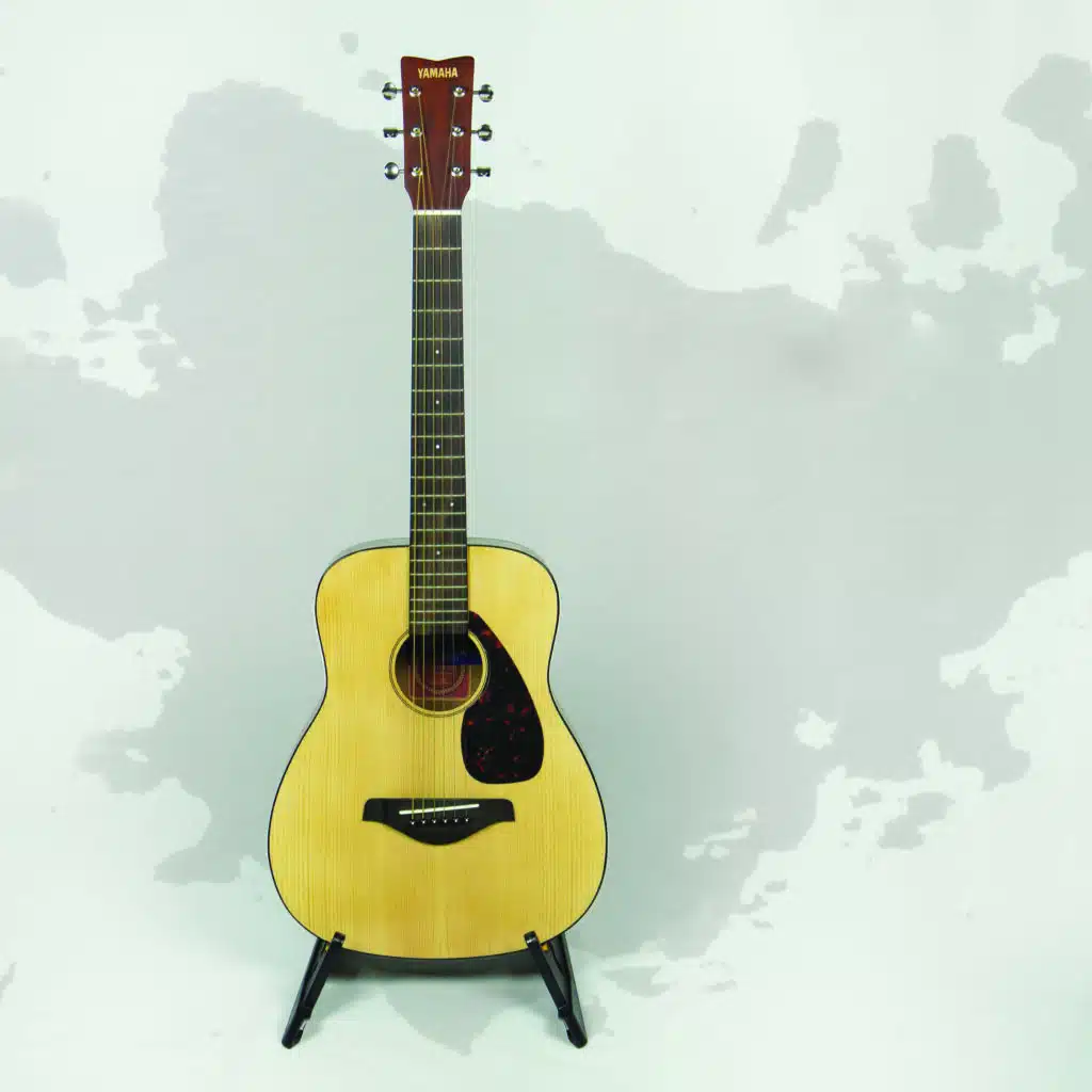 Acoustic guitar