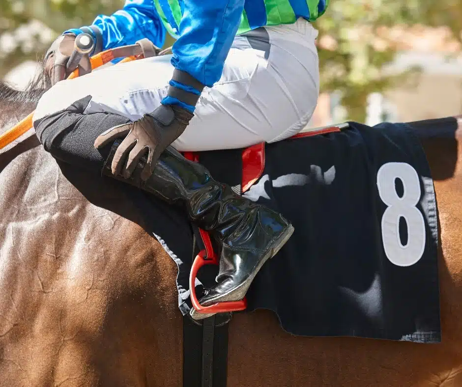 Race horse with close-up of jockey leg in stirrup